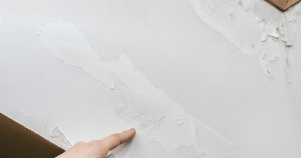 Why Dehumidify Your Home?