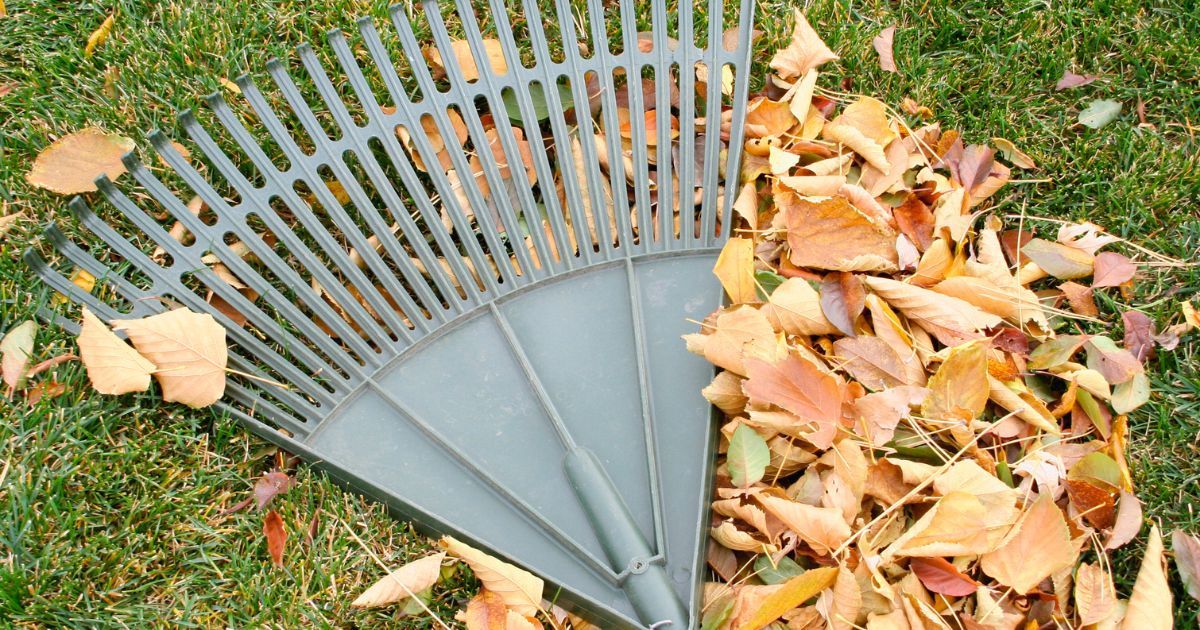 Fall Maintenance Checklist