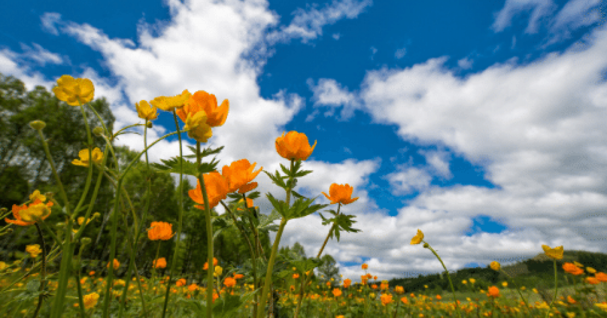 Time for Your Spring Air Conditioning Check-Up!