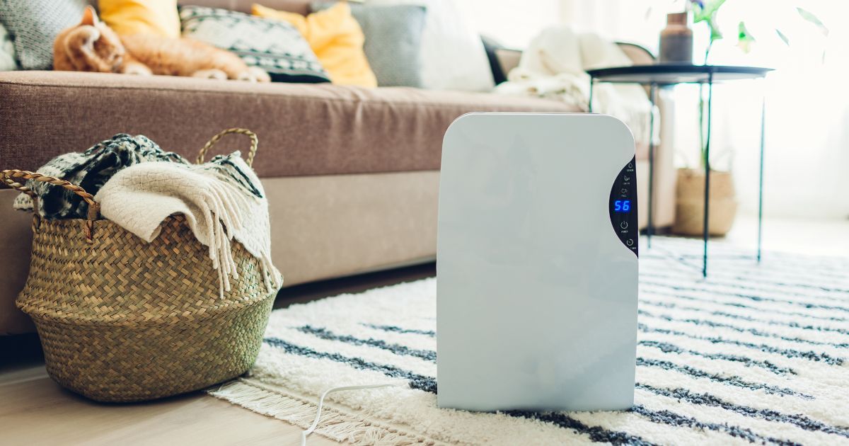 How Ionizers Can Improve Your Indoor Air Quality