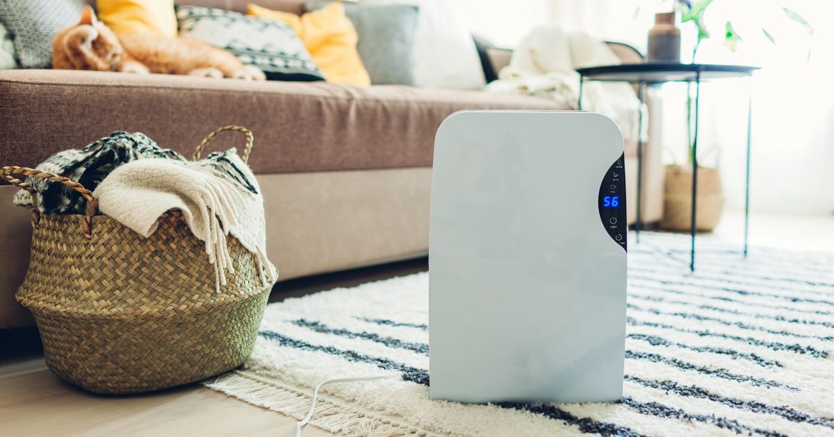 air ionizer